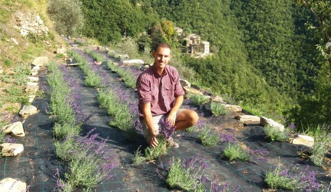 Un produttore di lavanda imperiese questa sera ai Soliti Ignoti