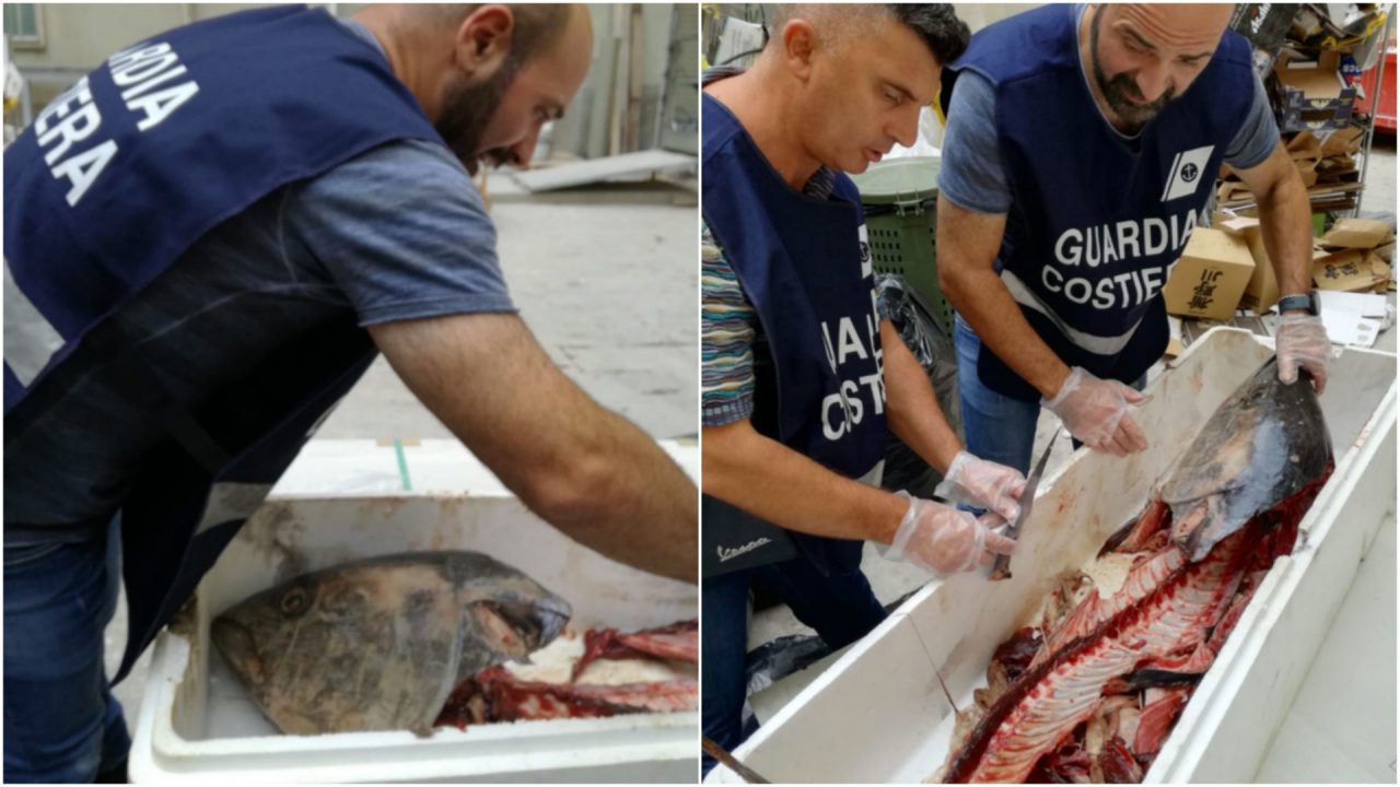 800 kg di pesce sequestrato e 46mila euro di sanzioni: l’operazione della Guardia Costiera