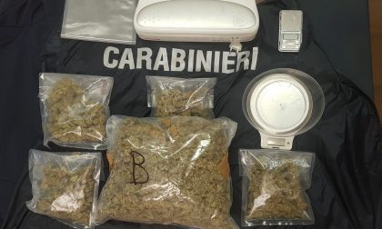 Carabinieri sequestrano un chilo di marijuana a Sanremo