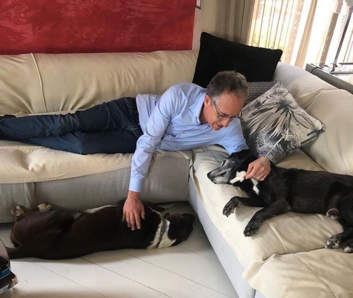 Sanremo: ricovero cani, Biancheri: “Troppe inesattezze, ho chiuso due occhi”