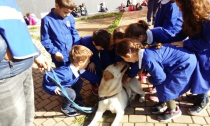 A scuola con Tato, Armando e Pepe