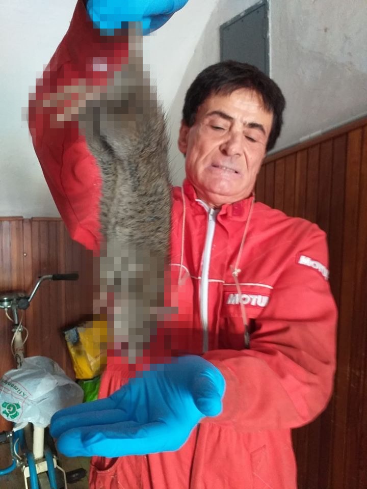 Poliziotto in pensione “arresta” topo gigante a Imperia