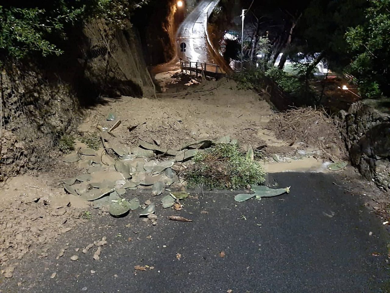 Frane e alberi caduti per il maltempo in provincia di Imperia