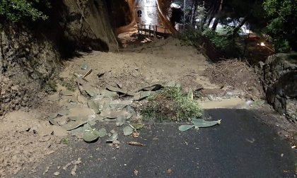 Frane e alberi caduti per il maltempo in provincia di Imperia