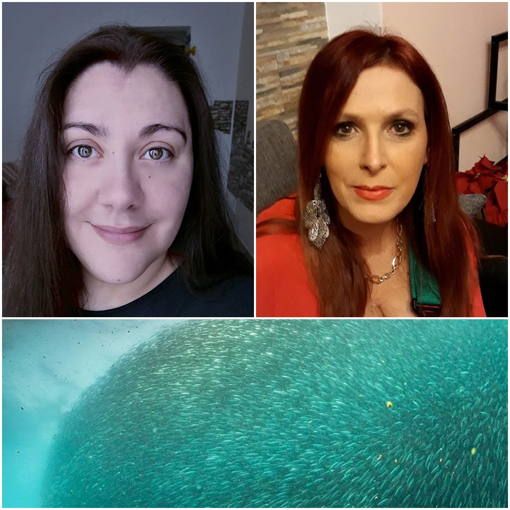 Su facebook nasce il gruppo “Sardine Ponentine” per dire no all’odio e alle fake news