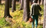 Fungaiolo di 81 anni si perde nel bosco