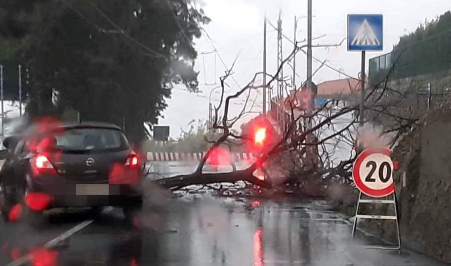 Tempesta di vento, crollano alberi a Sanremo, esondato l’Armea