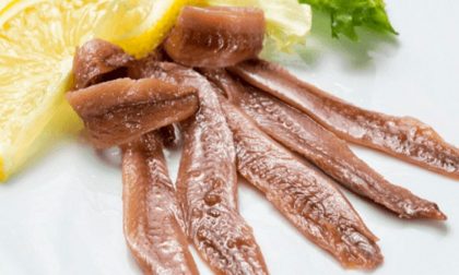 Filetti di alici a marchio Conad ritirati per alta presenza di istamina