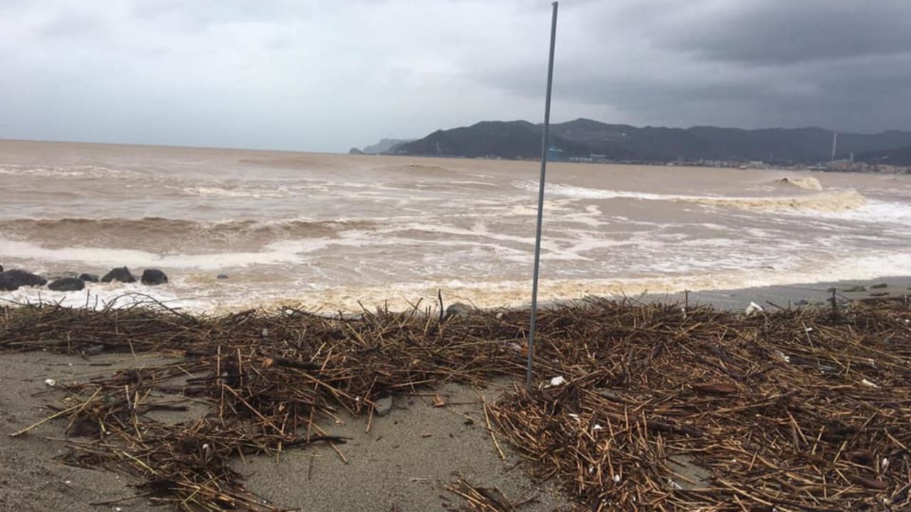 Lettera al sindaco per eliminare il materiale ligneo dalle spiagge di Bussana
