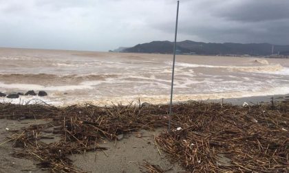 Lettera al sindaco per eliminare il materiale ligneo dalle spiagge di Bussana
