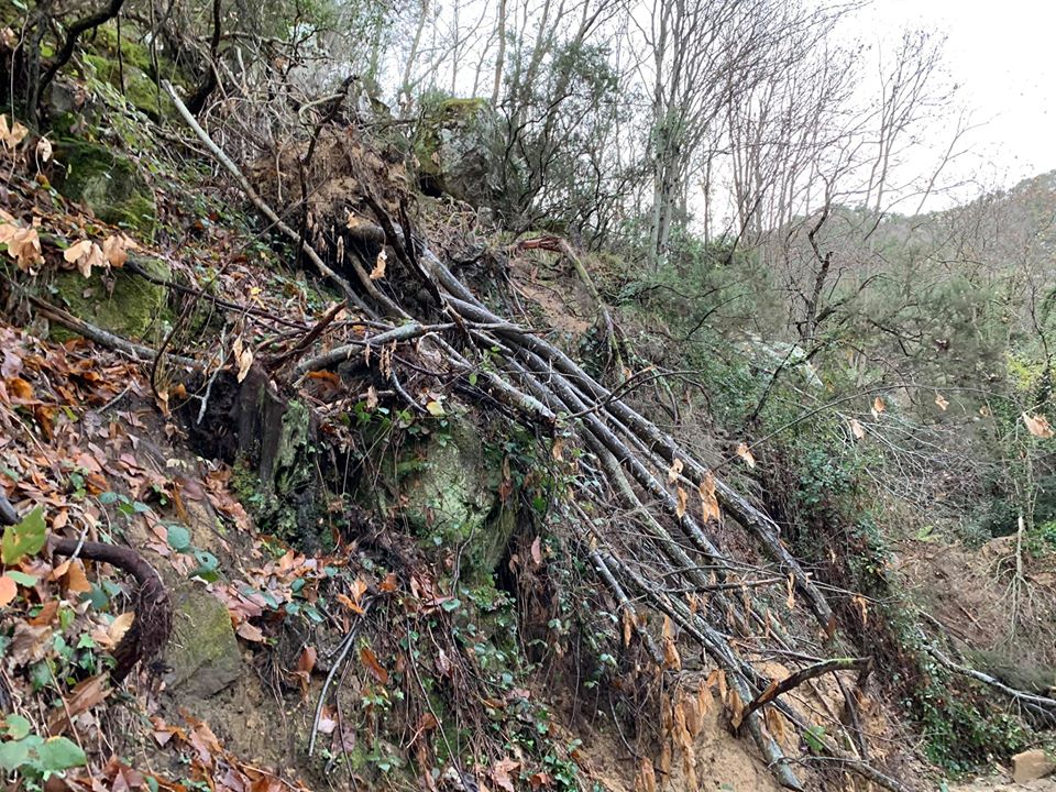 maltempo ceriana 8