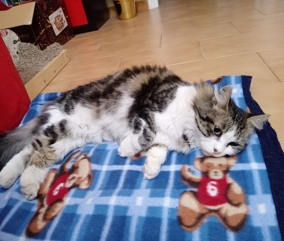 Perla ritorna a casa dopo una settimana