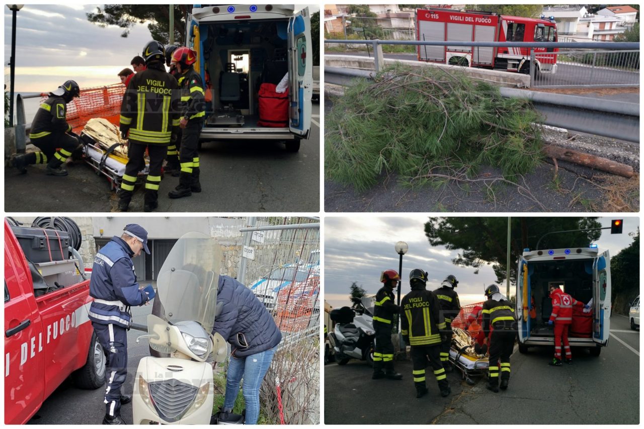 Crolla il ramo di un albero: 53enne cade in scooter e si ferisce a Sanremo
