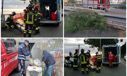 Crolla il ramo di un albero: 53enne cade in scooter e si ferisce a Sanremo