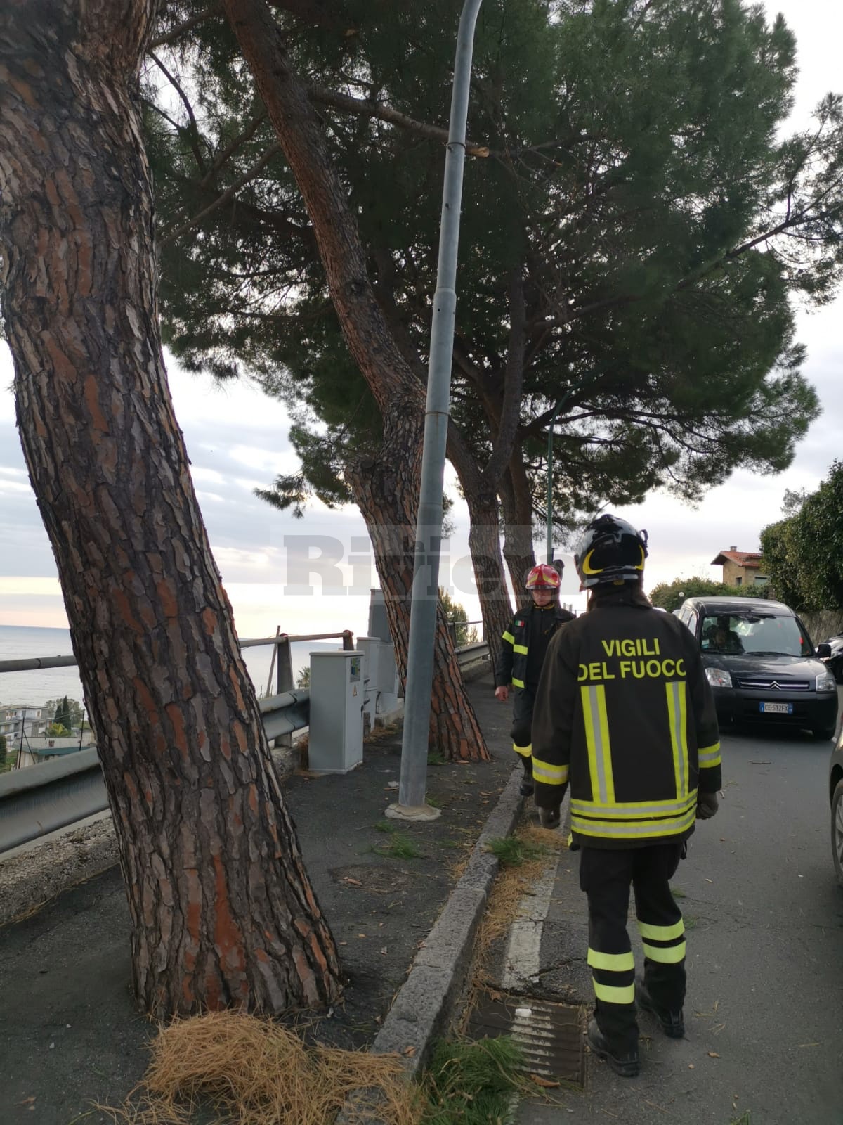 Ferito crollo ramo vento alberto via Padre Semeria incidente scooter_09