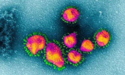 Coronavirus primo caso sospetto in Liguria