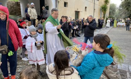 Benedizione degli animali a Diano Calderina