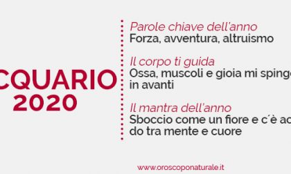 L’oroscopo semiserio del 2020/ACQUARIO