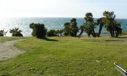 Giardinieri per un giorno, Biancheri e Amadeus pianteranno due alberi a Sanremo