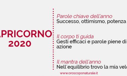 L'oroscopo semiserio del 2020/CAPRICORNO