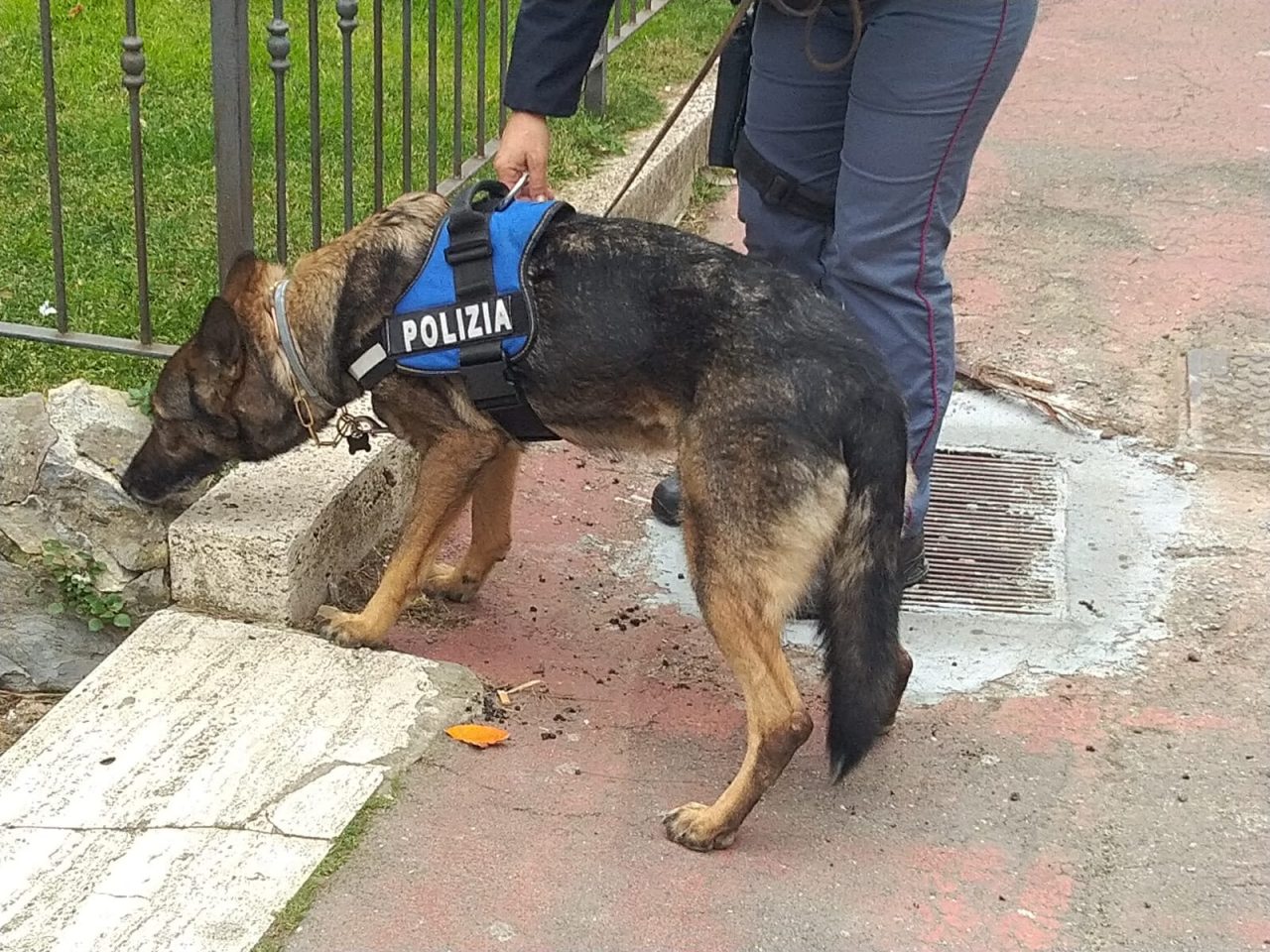 “Scuole sicure” proseguono i controlli della Polizia