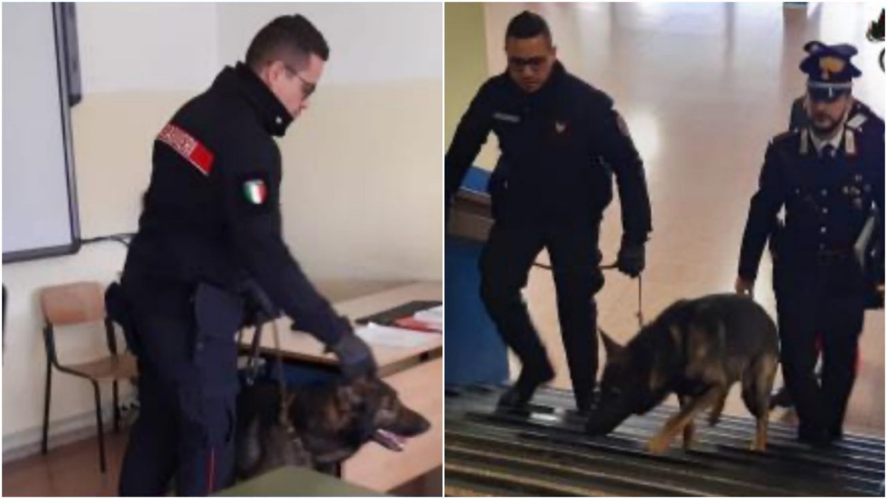 Unità Cinofila in tre scuole di Imperia, i controlli dei Carabinieri contro lo spaccio