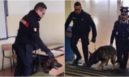 Unità Cinofila in tre scuole di Imperia, i controlli dei Carabinieri contro lo spaccio