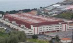 2 Novembre: molti produttori dal crisantemo alla canapa, ma a Sanremo venduti 160mila steli
