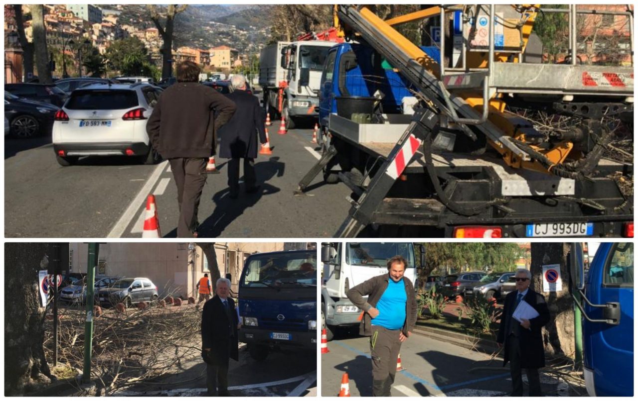 Continua l’opera di potatura delle piante a Ventimiglia