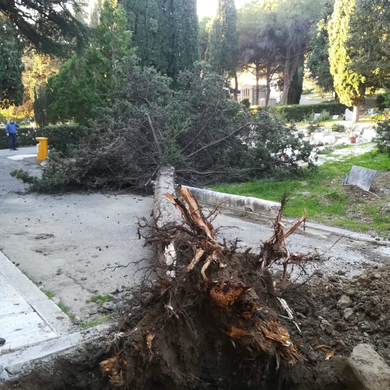 Cimiteri chiusi per il forte vento