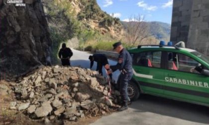 Carabinieri forestali individuano gestione illecita di rifiuti, nei guai 5 persone