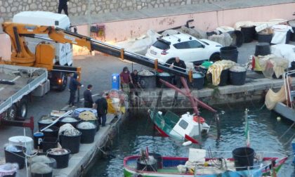 Peschereccio affonda in porto a Bordighera, ma è salvo. Foto e Video