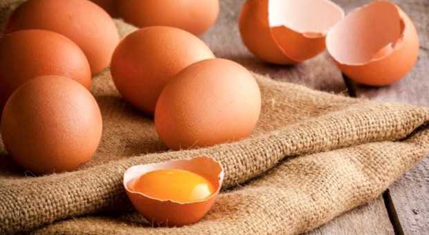Boom in Liguria: le uova vere battono quelle di cioccolato