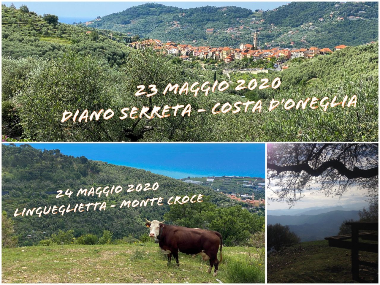 Alla scoperta del territorio: ripartono le attività di Ponente Experience