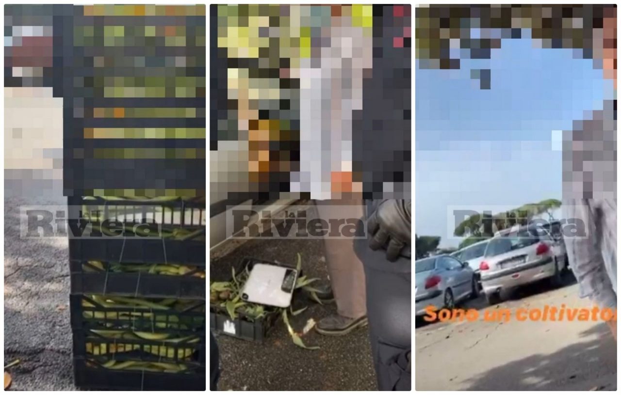 Arrestato ladro seriale di verdura: incastrato dalle telecamere e da un tranello. Video