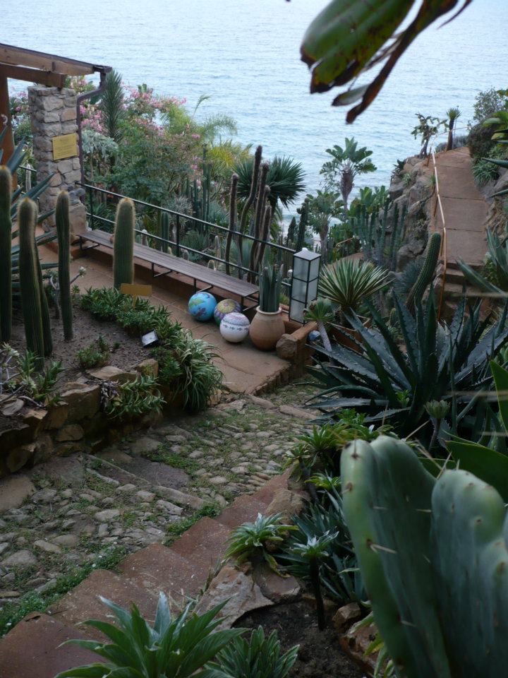 Riapre al pubblico il Giardino Esotico Pallanca con nuovi esemplari e iniziative