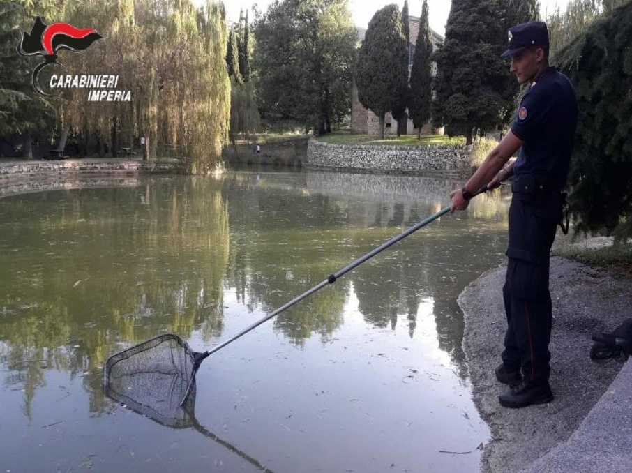 Carabinieri tartarughe pericolose Pontedassio_03