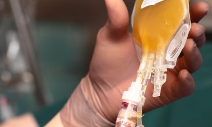Al via protocollo di utilizzo del plasma iperimmune in tutta la Liguria