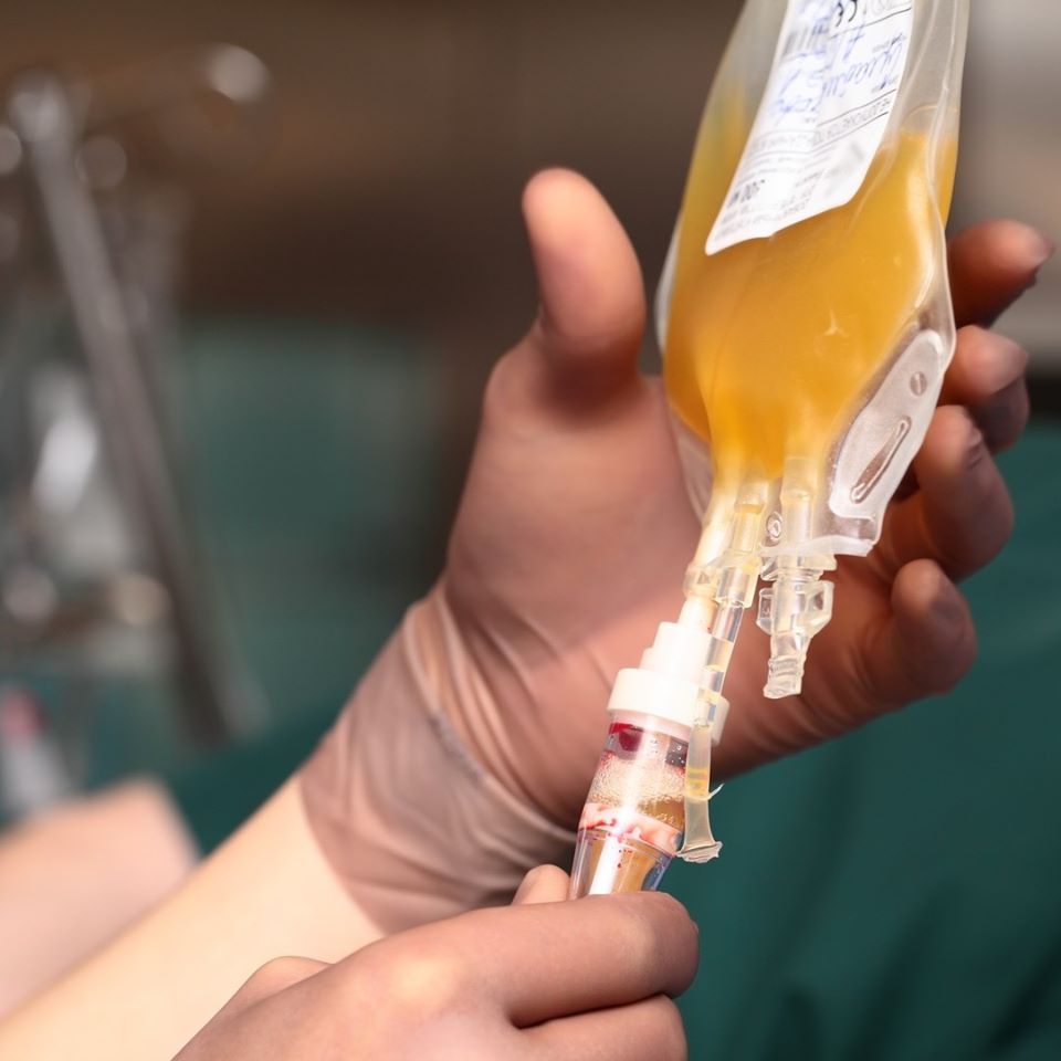 Al via protocollo di utilizzo del plasma iperimmune in tutta la Liguria