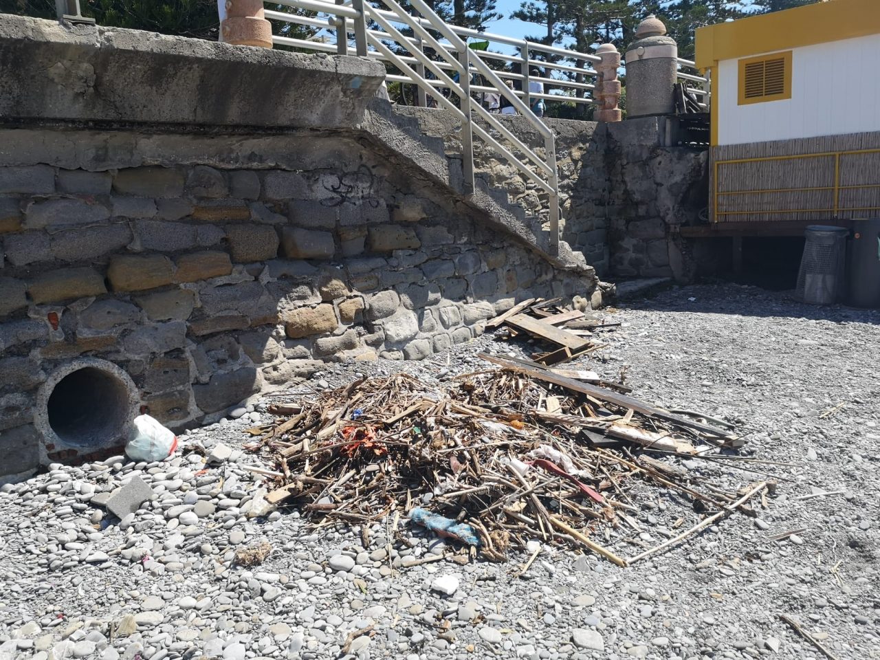 Legname e altri detriti su una spiaggia libera di Bordighera- Le foto-