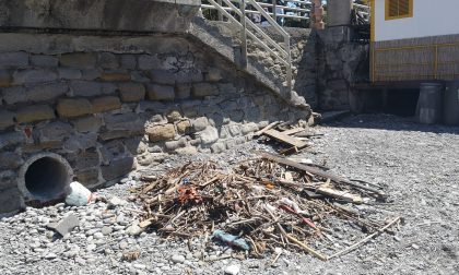 Legname e altri detriti su una spiaggia libera di Bordighera- Le foto-