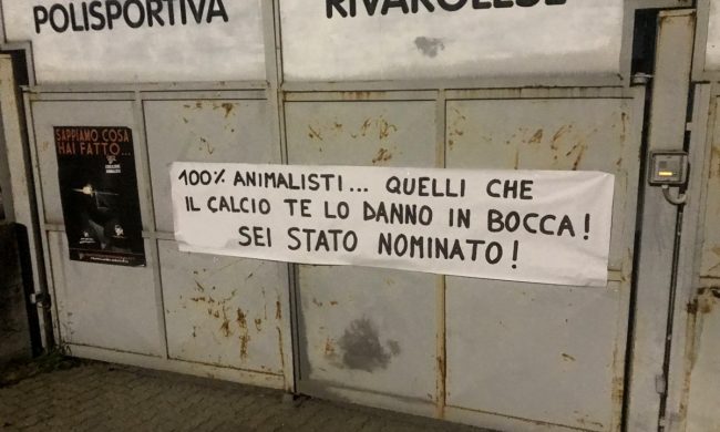Striscione contro il ragazzino che ha ucciso a calci un riccio