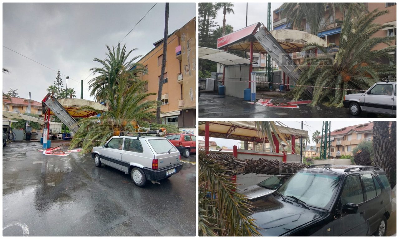 Crolla una palma a Bordighera: danni all’autolavaggio Esso e ad alcune auto. Video