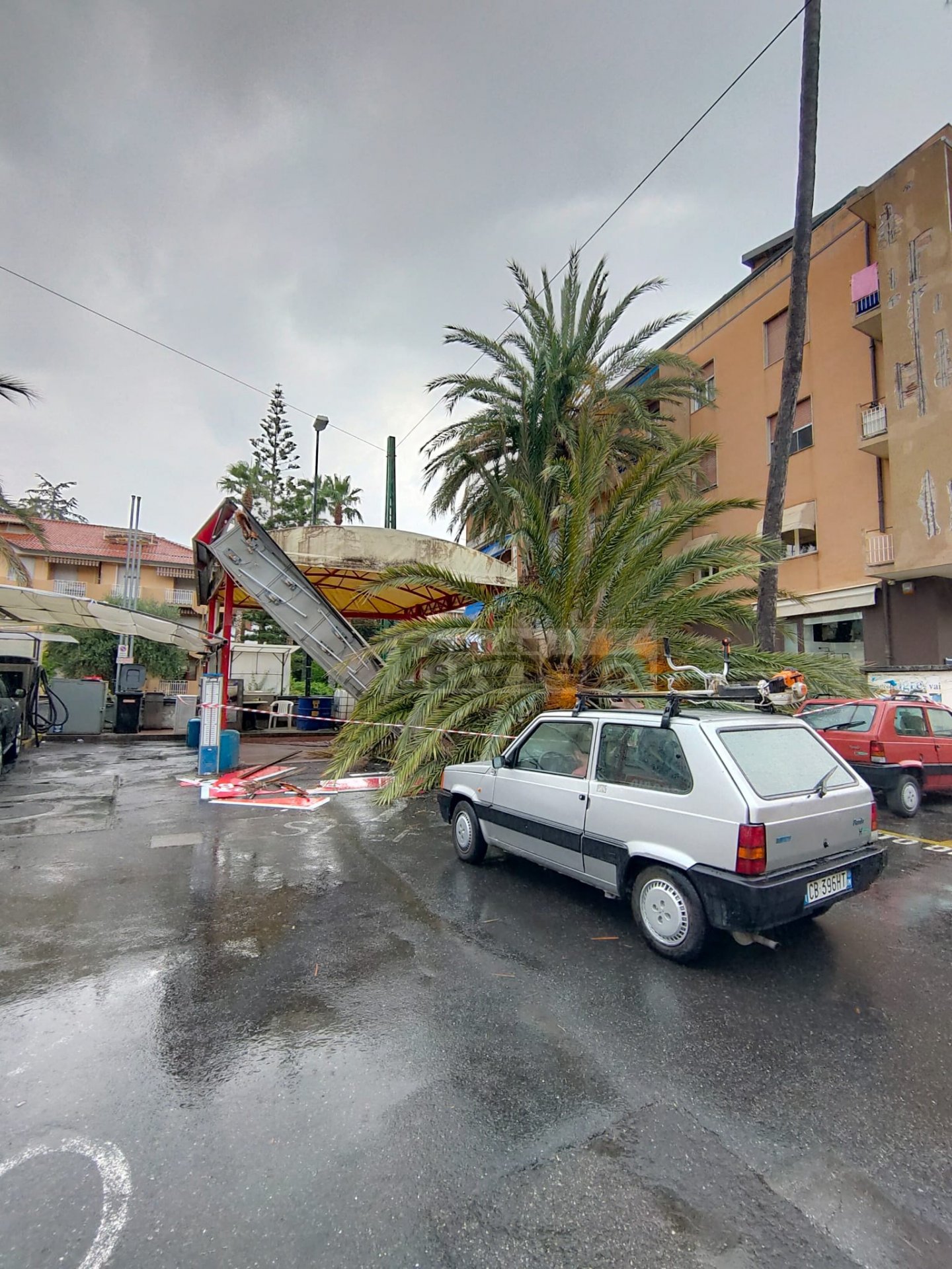 Crolla palma Bordighera autolavaggio Esso_03