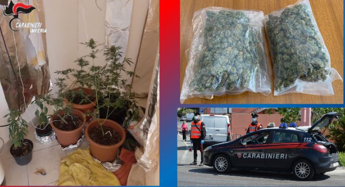 Coltivava marijuana in camera da letto: arrestato un 19enne