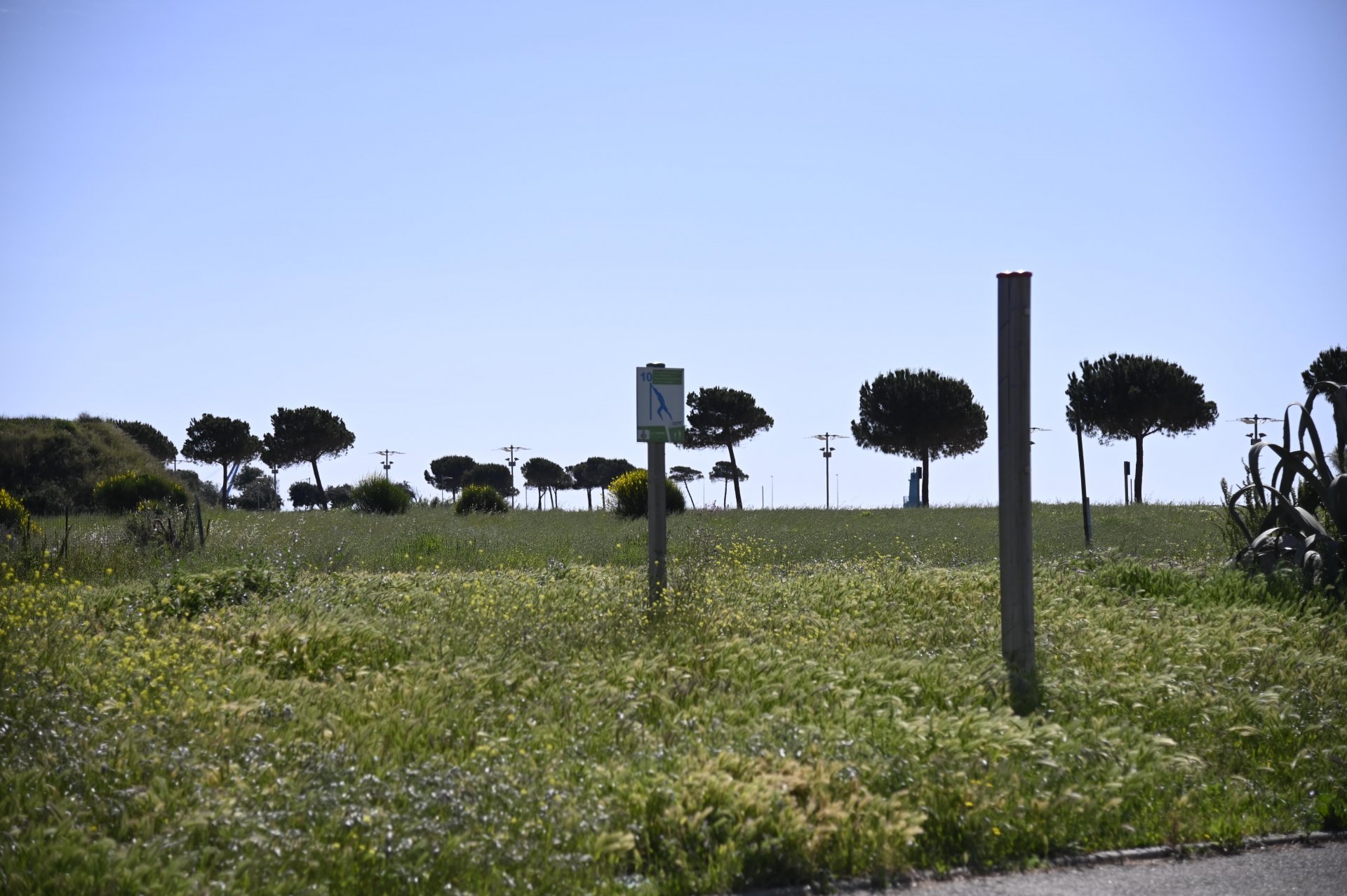 parco&urbano20200504_4344