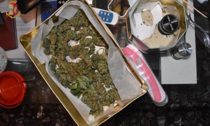 Dodici piante di marijuana in casa: luci ultraviolette e "raccolto" pronto al consumo