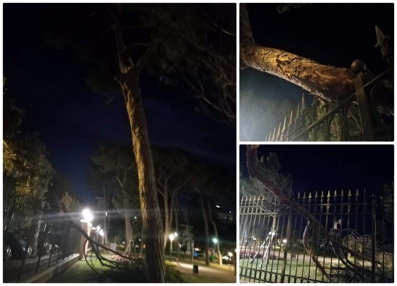Crolla grosso ramo di un pino ai giardini pubblici di Ventimiglia