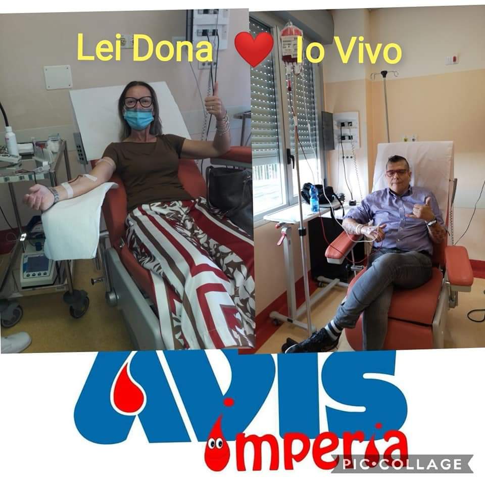 avis3