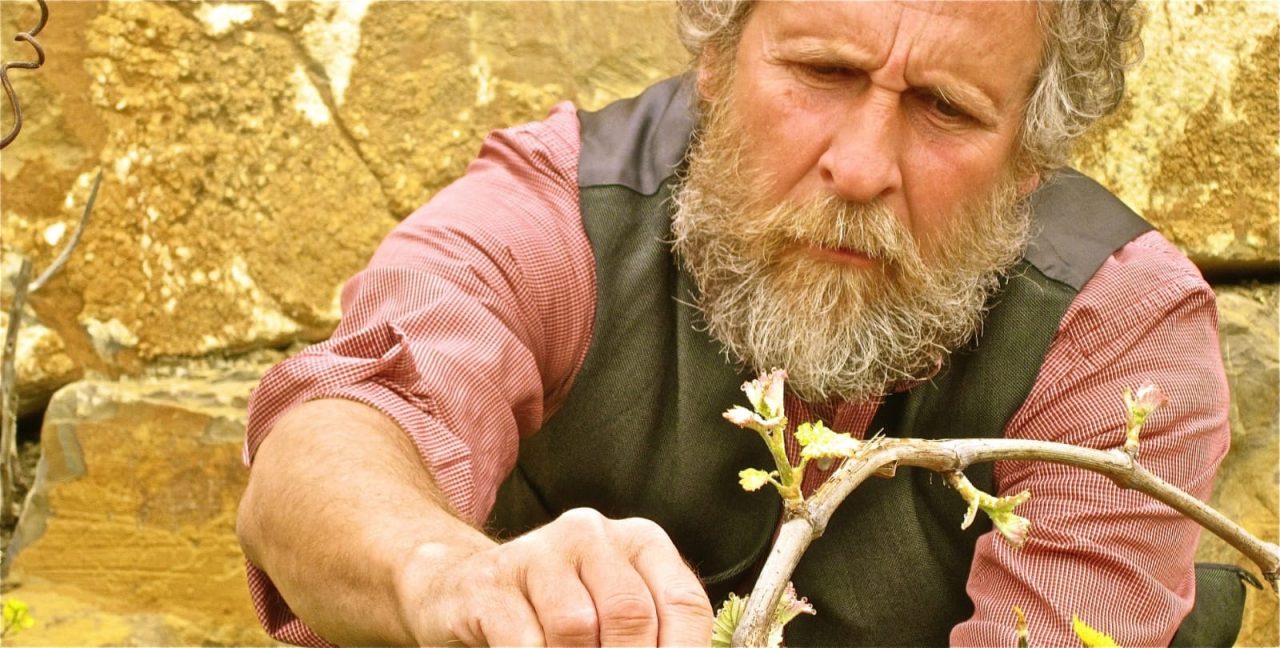 Due spettacoli nel fine settimana al Premio Vermentino